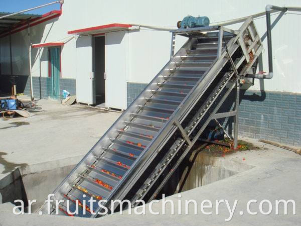 Automatic Tomato Processing Line